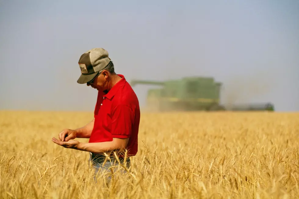 New Poll Finds Rural Voters Are Feeling The Squeeze