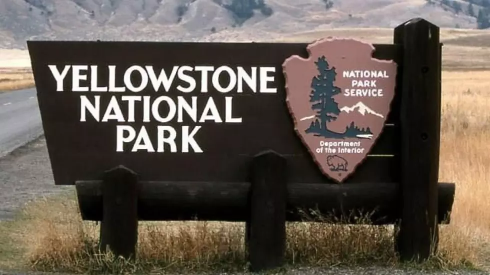 Heavy rainfall has closed Yellowstone