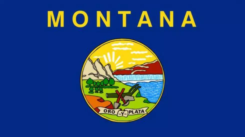 HOW LONG DID IT TAKE FOR MONTANA TO COME UP WITH A STATE FLAG?