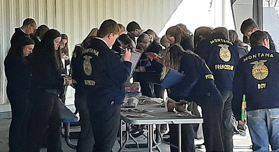 Montana FFA Takes Over ExpoPark In Great Falls Through Saturday