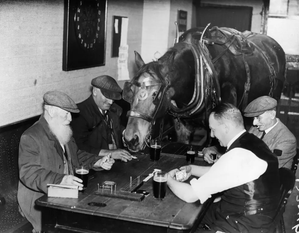 Drink Like A Horse