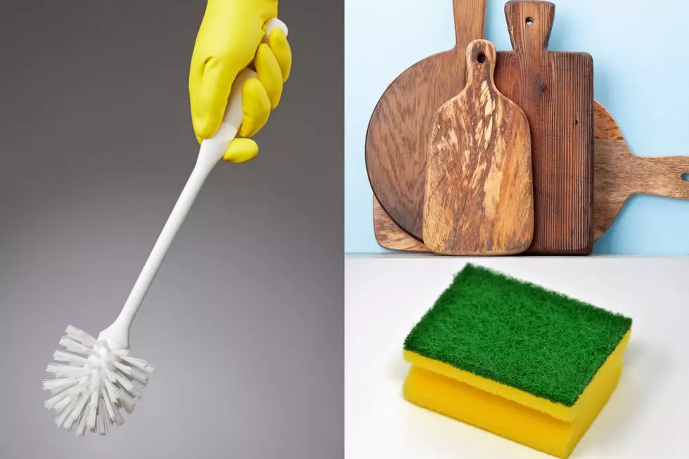Cutting Boards, Sponges, Shower Loofahs, and Toilet Brushes