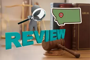 Great Falls Local Government Review On The Ballot