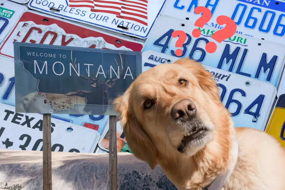 The Law Requires A New License Plate In Montana Every Five Years