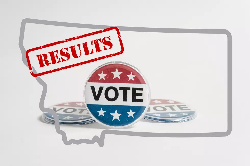 A Look At Montana&#8217;s Primary Election Results