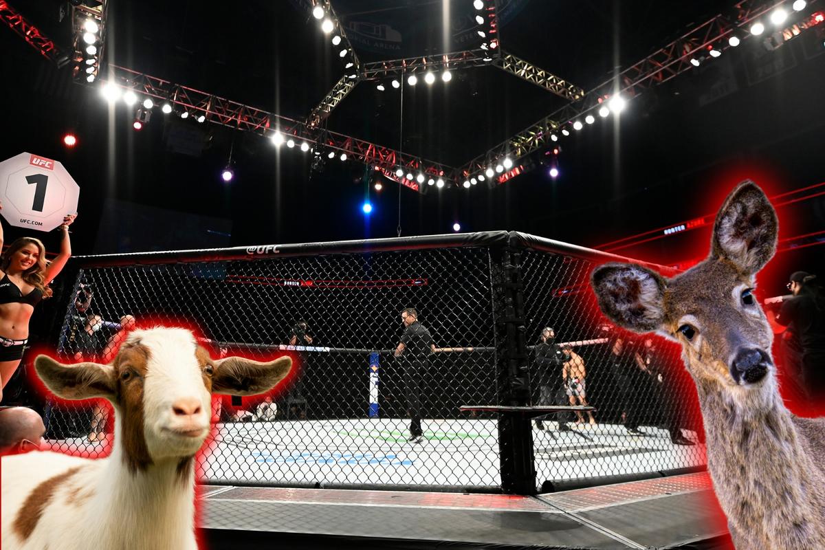 7 Montana Animals I Might Be Able To Beat In A Fight