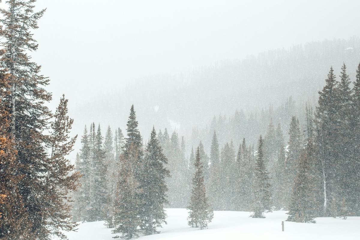 The Largest Snowfall Totals in Montana History