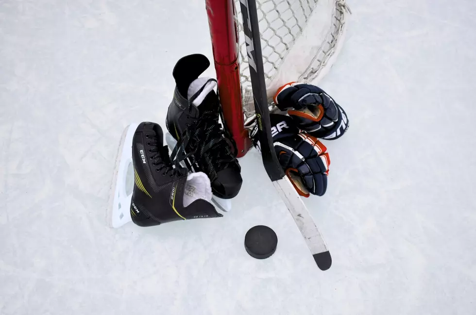 Great Falls Americans Hockey Needs Host Families