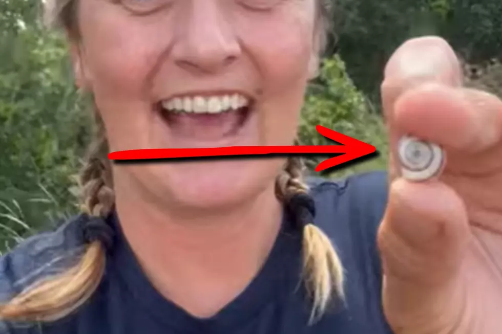 Montana On The Lookout For Invasive Snail