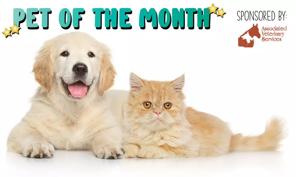 Pet of The Month