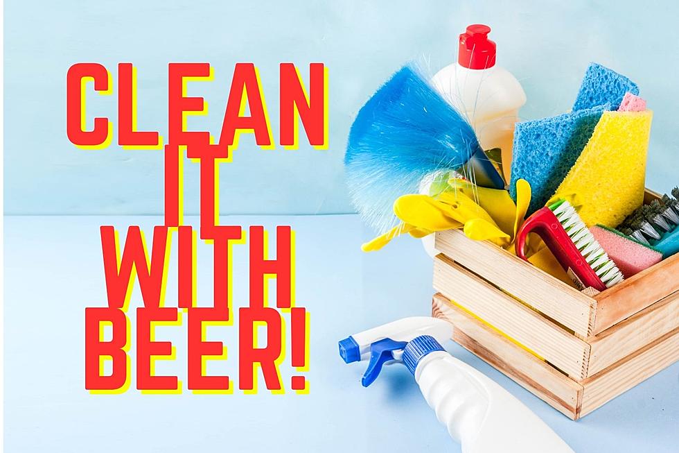 Unique Ways To Spring Clean – Can I Use Beer, Really?