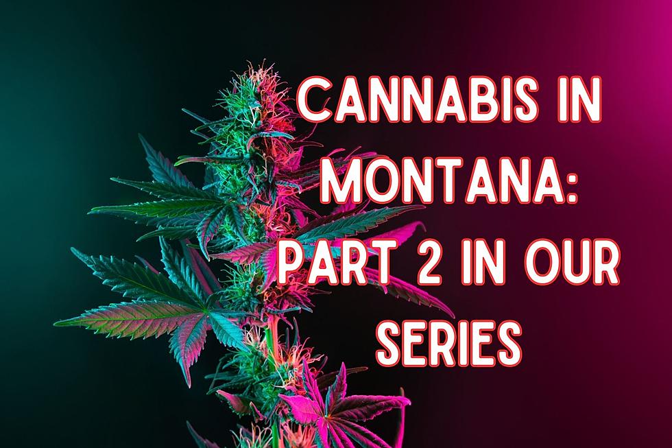 Indica Or Sativa?  Shedding The Taboo of Cannabis in Montana