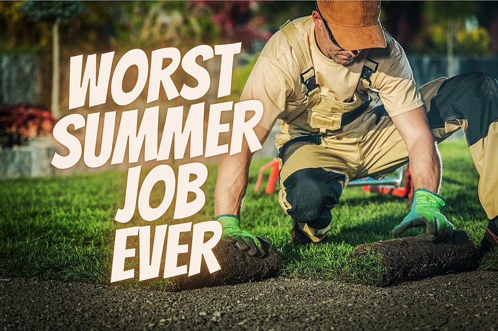 20 Of the Worst Jobs – Which Summer Job Do You Regret?