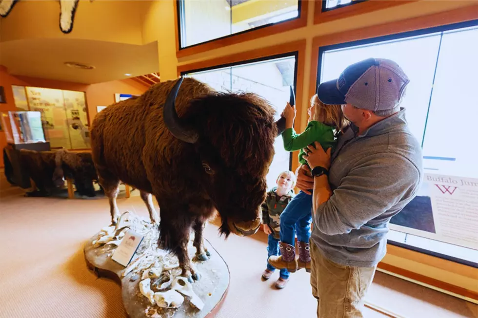 Photo Credit: https://fwp.mt.gov/stateparks/first-peoples-buffalo-jump