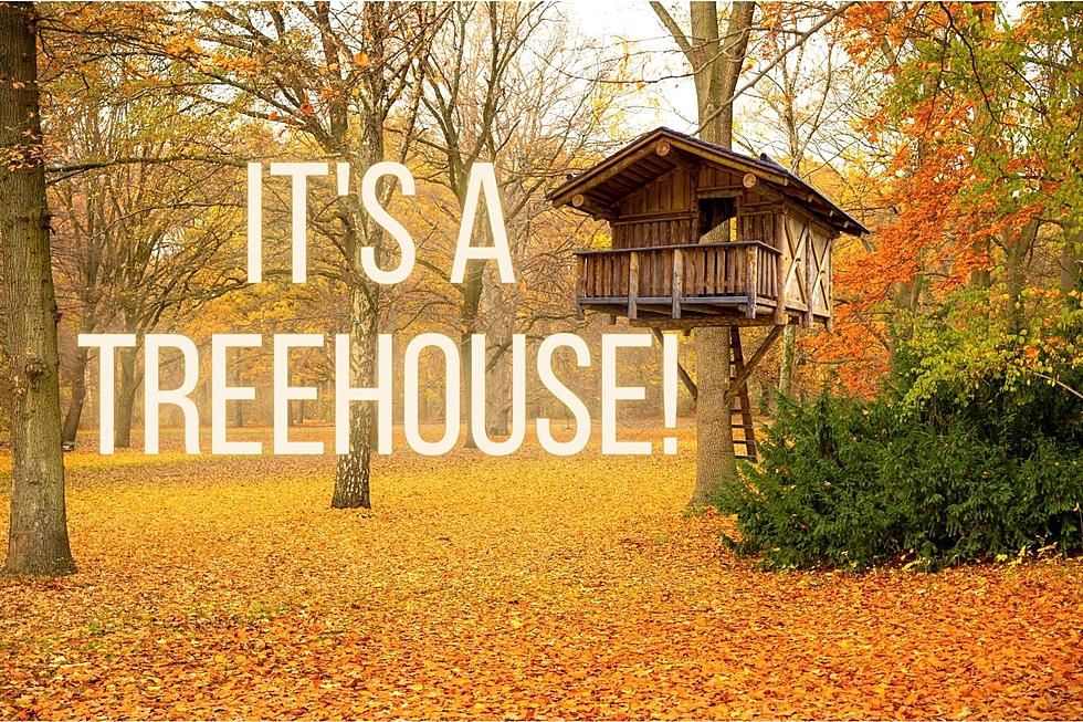 Would You Pay $2.2 Million To Live in a Treehouse in Montana?