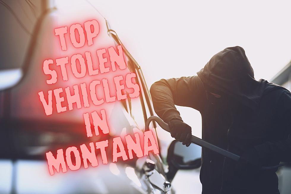 Top Stolen Vehicles in Montana - Are You a Target for Theft?
