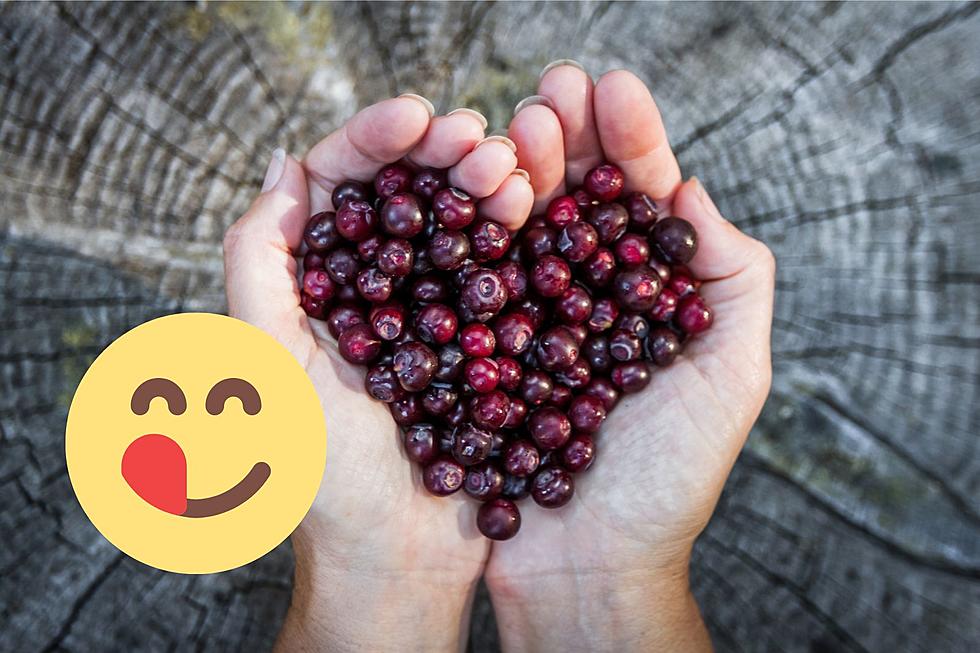 Huckleberries.  Four of My Favorite Ways To Enjoy This Montana berry.