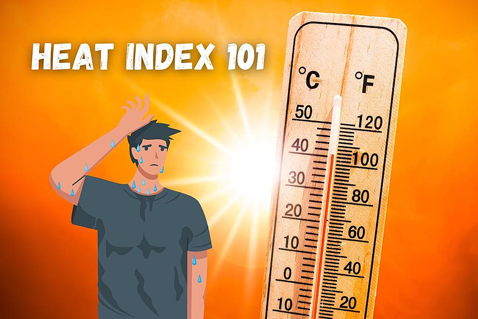 Understanding the Heat Index As Record Temperatures Take Over The United States