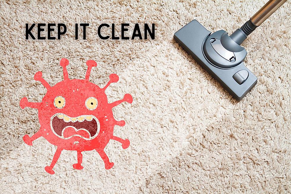 Maintaining a Fresh and Healthy Home Starts With a Clean Carpet