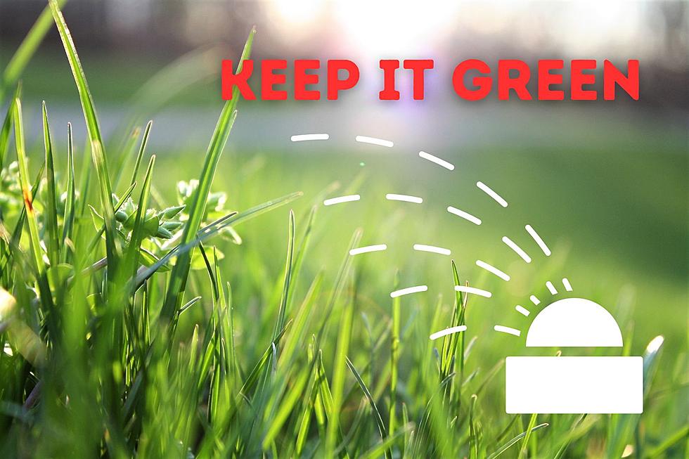 Is The Hot Montana Sun Scorching Your Lawn? Give These Tips A Try