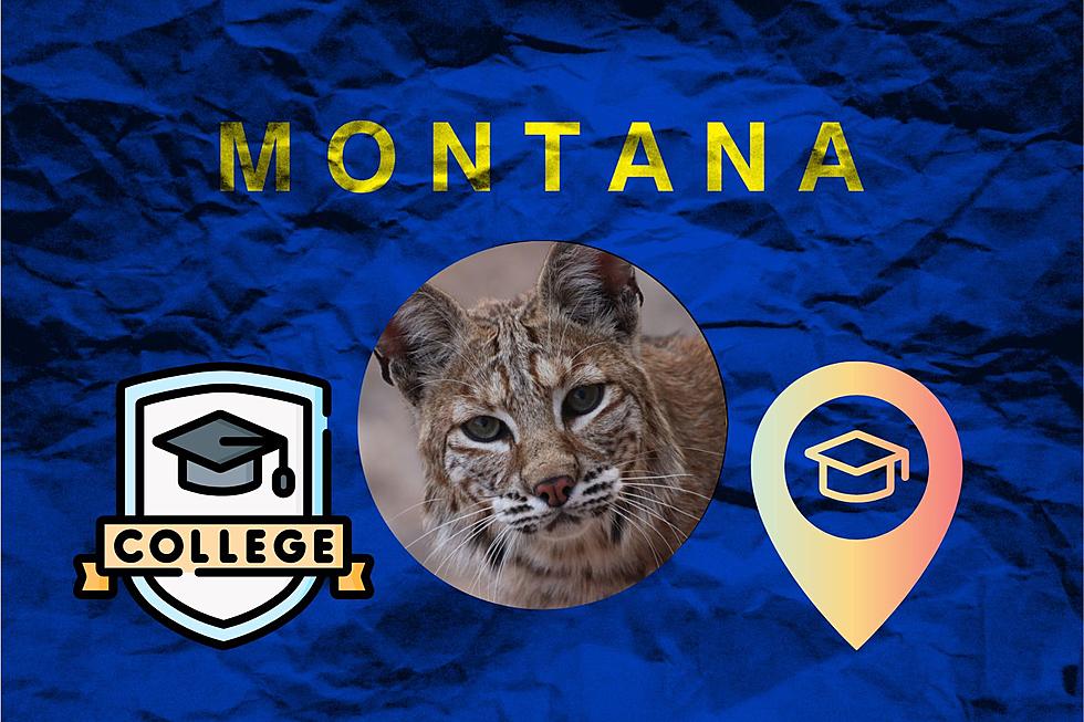 Get A Head Start for College This Year with State Days in Bozeman