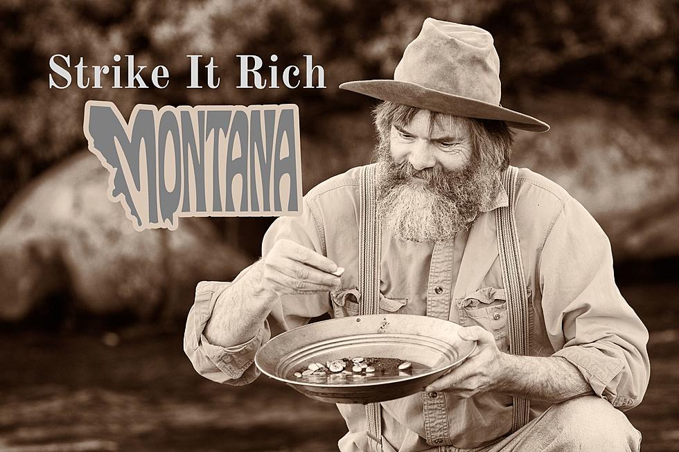Gold Panning in Montana