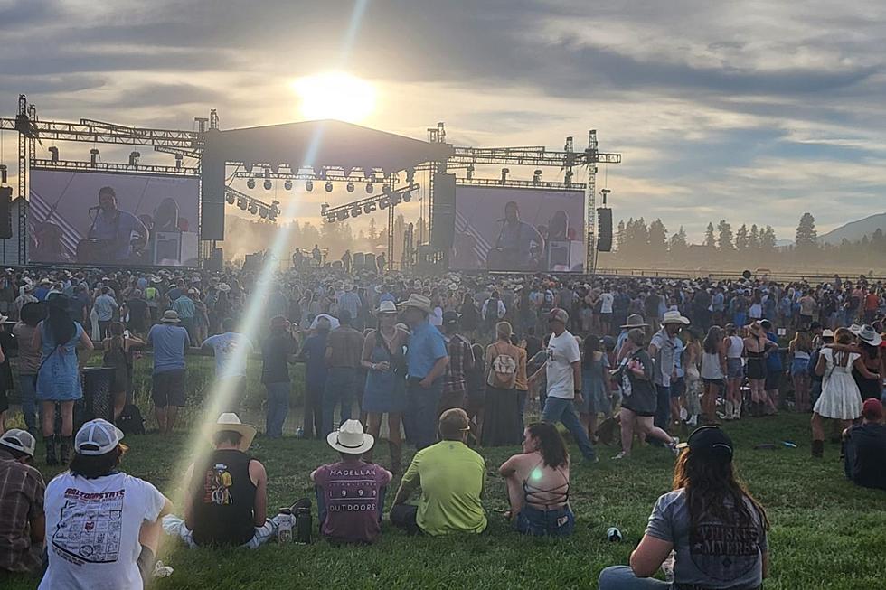 Concert-Goers’ Conundrum: Overcoming the Fear of Random Shootings