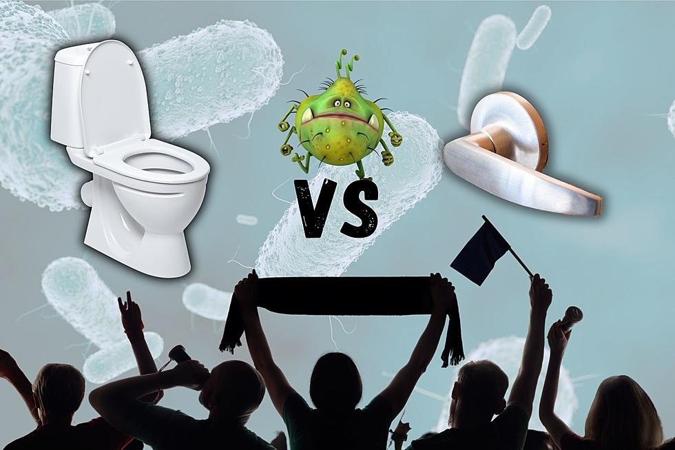 Dirty Truth Revealed: Is a Toilet Seat or Door Handle Germier?