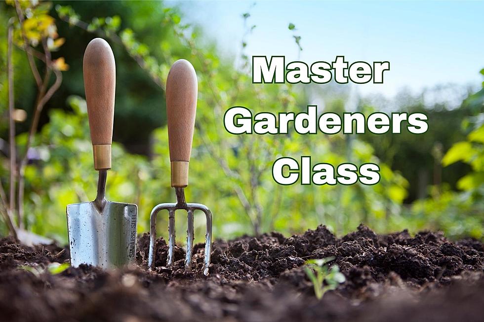 Master Gardener Program: How To Earn Your Green Thumb In Cascade