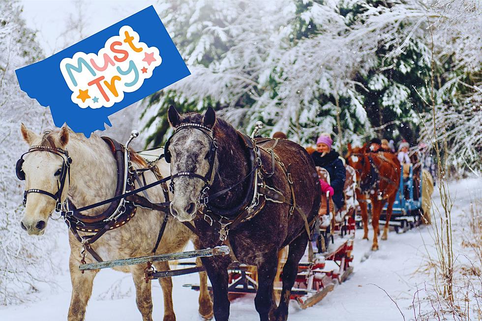 Montana Sleigh Rides.  You Can Find Them Here.