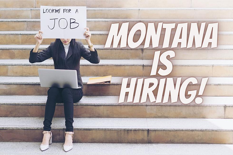 Latest Data Shows Healthy and Robust Job Market in Montana