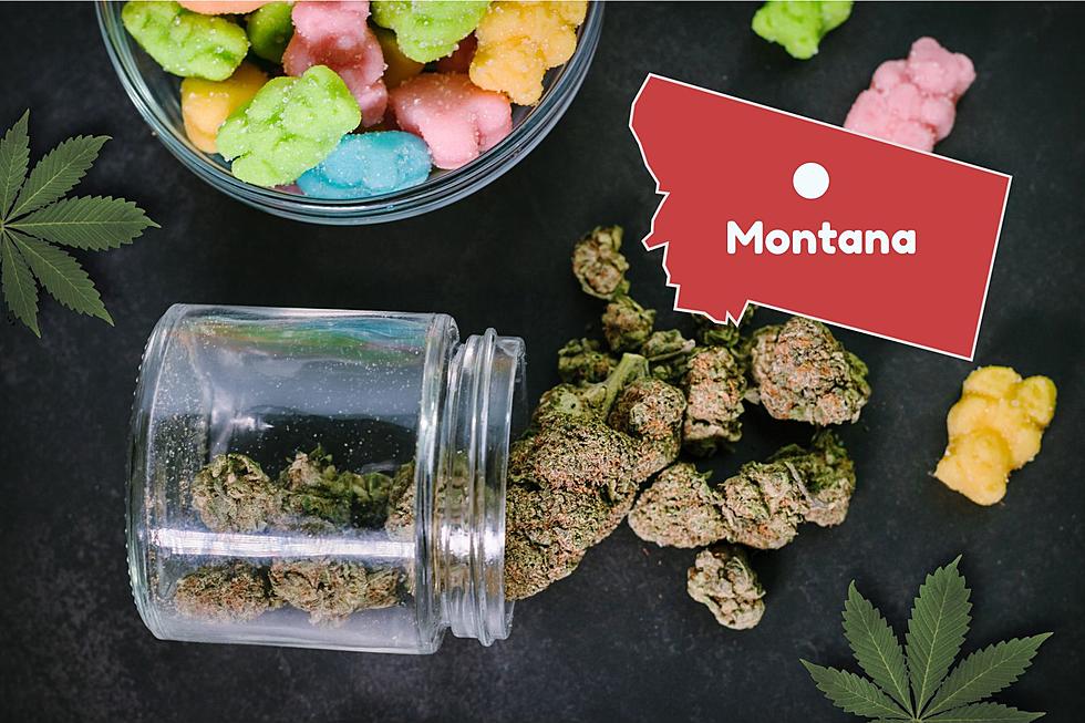 Marijuana Sales Continue to Skyrocket for Montana