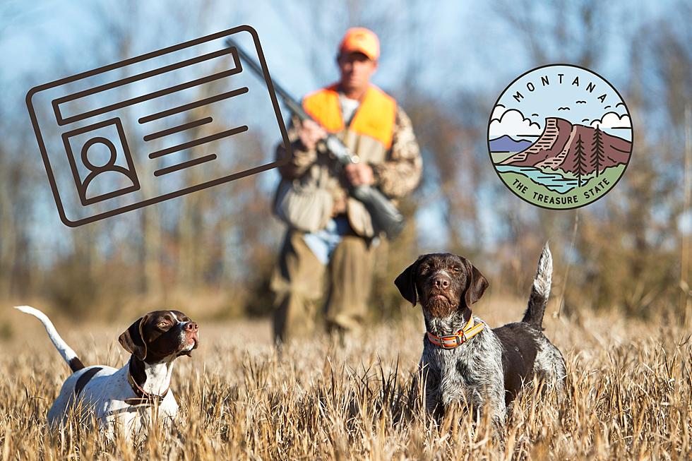Almost Time To Get Your New Hunting &#038; Fishing Licenses In Montana