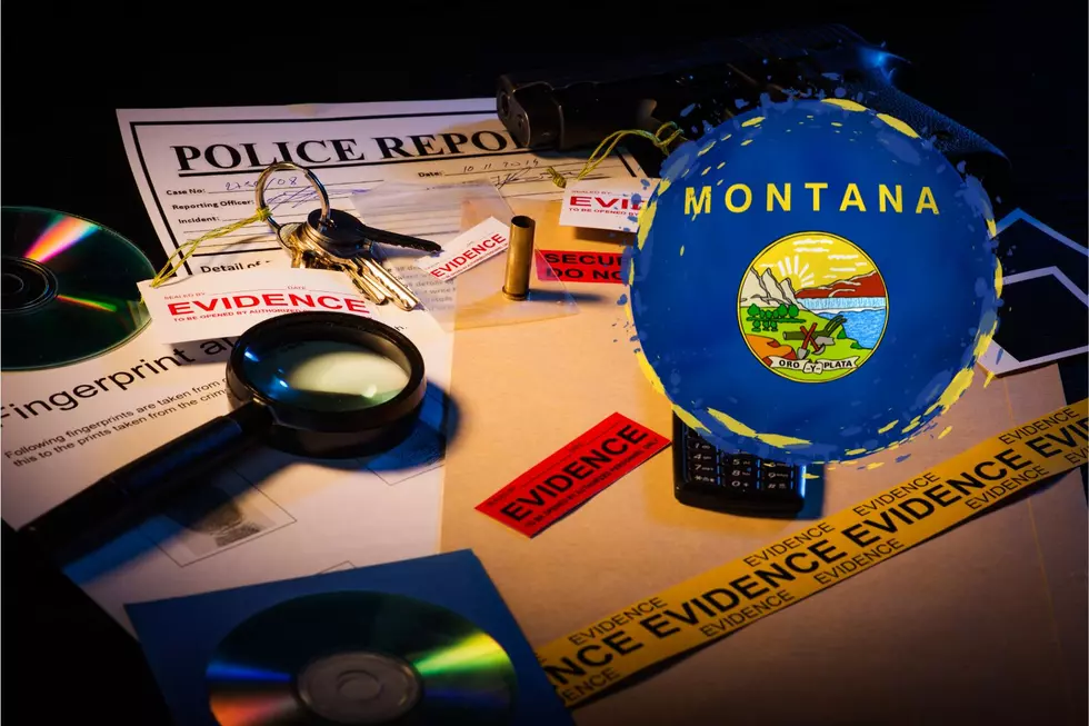 5 of the Most Common Criminal Offenses in Montana
