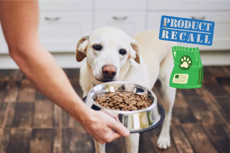 Montana Walmart Stores Not Affected by Dog Food Recall