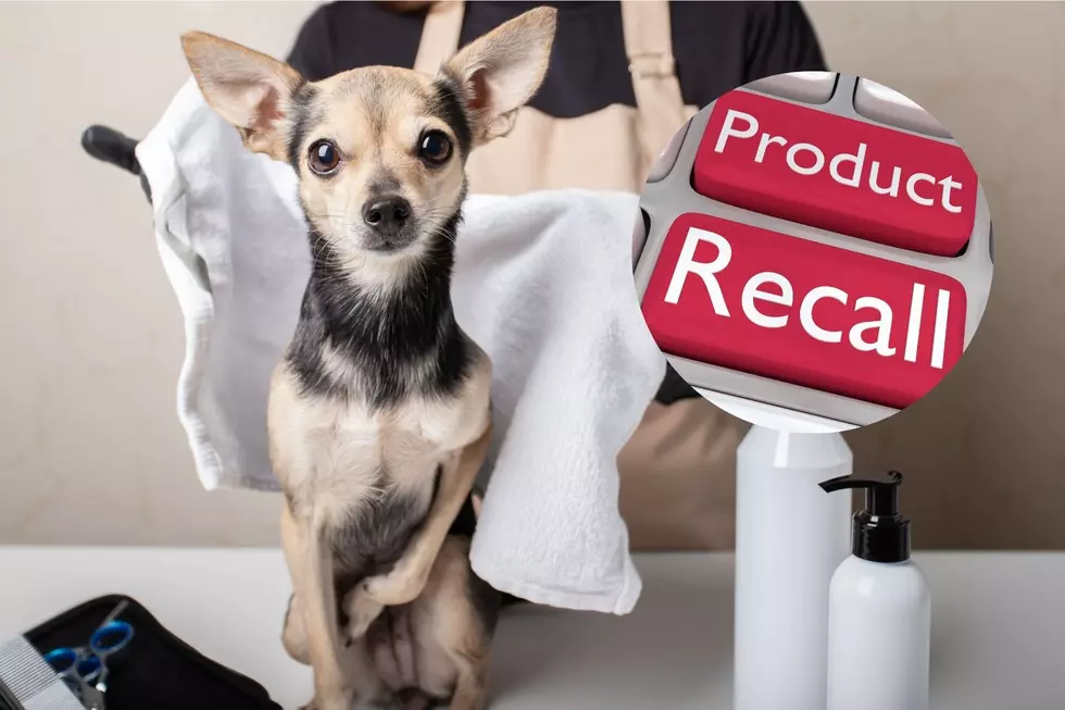 Is Montana Part of the Pet Shampoo Recall Happening Now?