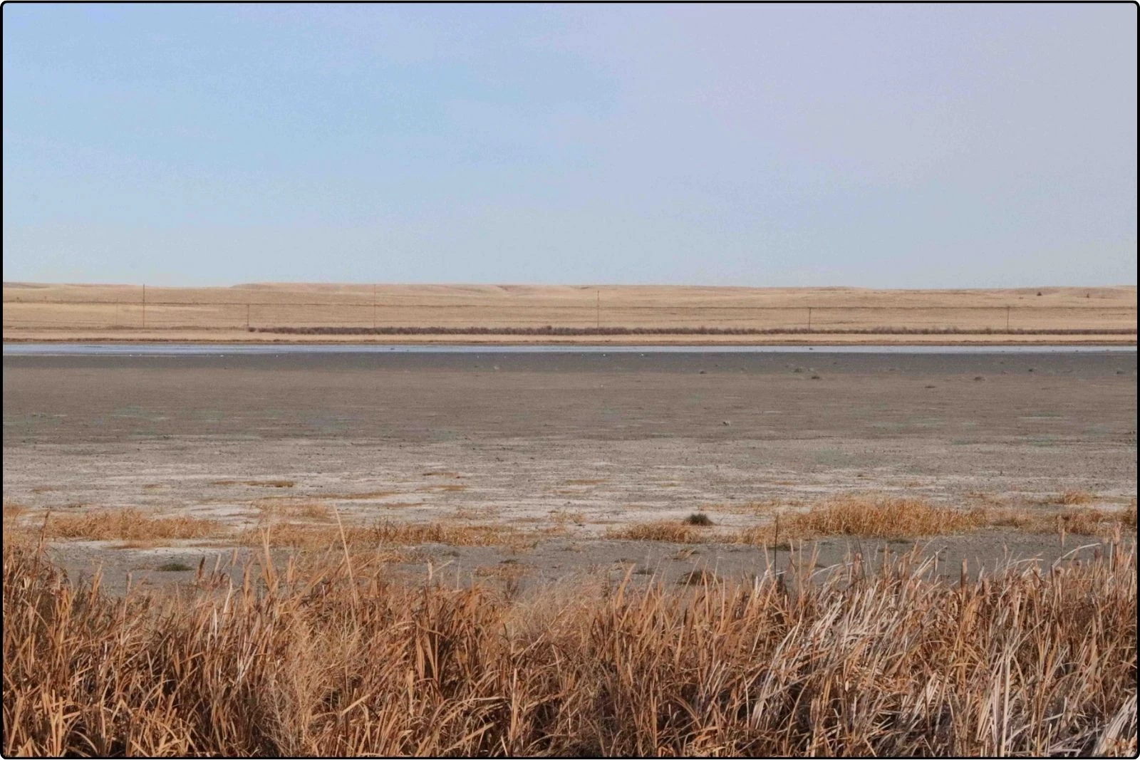 Montana Fish, Wildlife and Parks Region 4 via Facebook