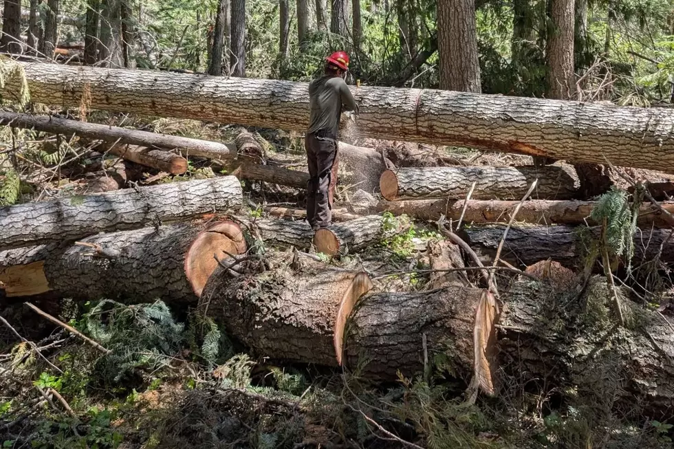 Montana's 13,000 Miles Of Trails Need Constant Maintenance