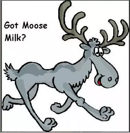 Canadian Moose Milk