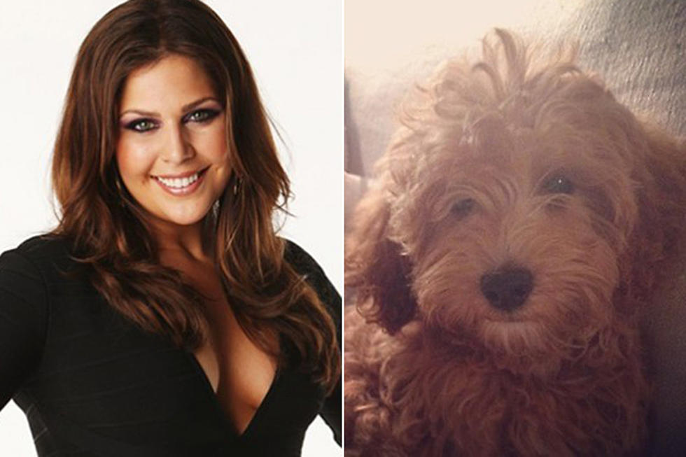 Lady Antebellum’s Hillary Scott Gets an Adorable New Puppy