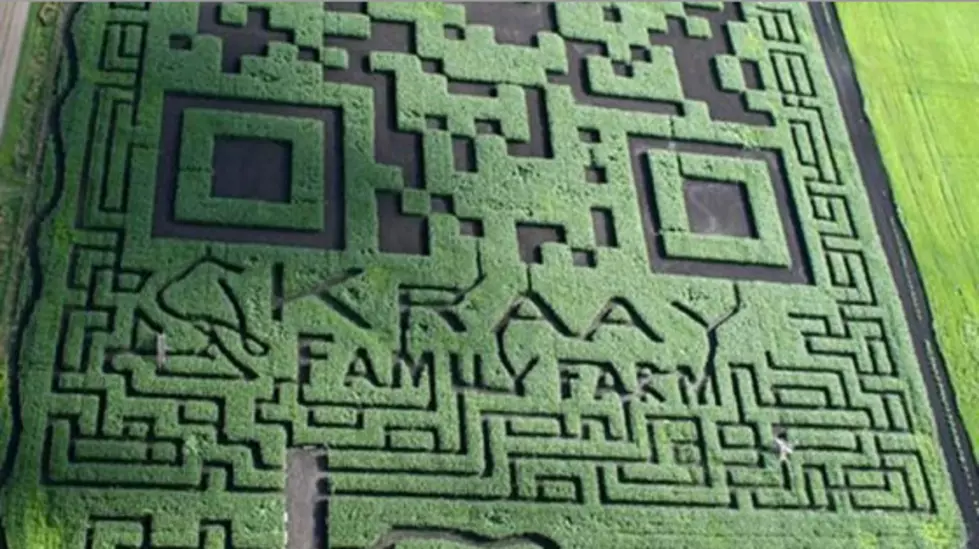 The World’s Largest QR Code is Actually a Corn Maze