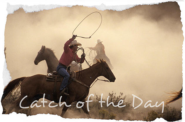 &#8216;Catch of the Day&#8217; &#8211; Reba McEntire &#8211; &#8220;Just Like Them Horses&#8221; [AUDIO]