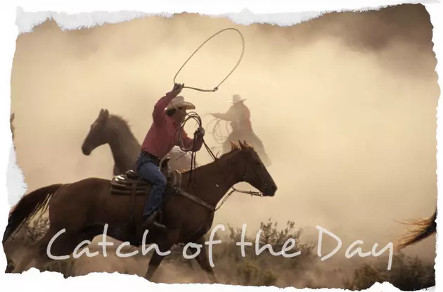 &#8216;Catch of the Day&#8217; &#8211; Matt Stillwell &#8211; &#8220;Hey, Dad&#8221; [VIDEO]