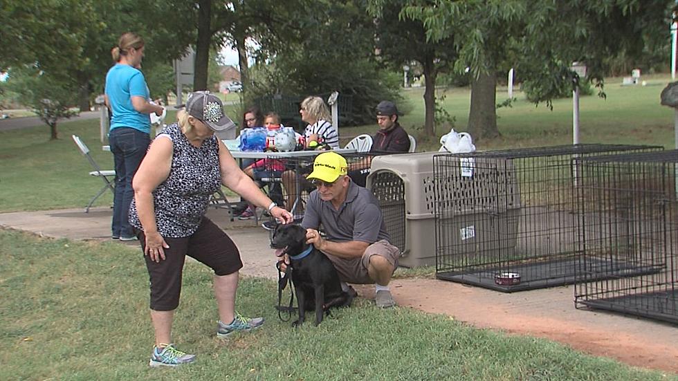 Elgin Animal Shelter Spends Saturday In The Park