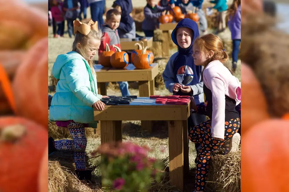 Celebrate Harvest Season with These Fun Fall Festivals