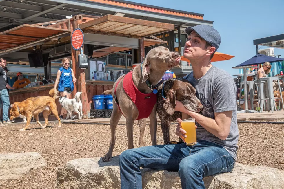 New Dog Park With Bar And Restaurant Opens In Oklahoma City
