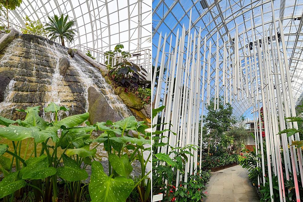 Explore Oklahoma City’s Botanical Gardens’ Crystal Bridge For Free