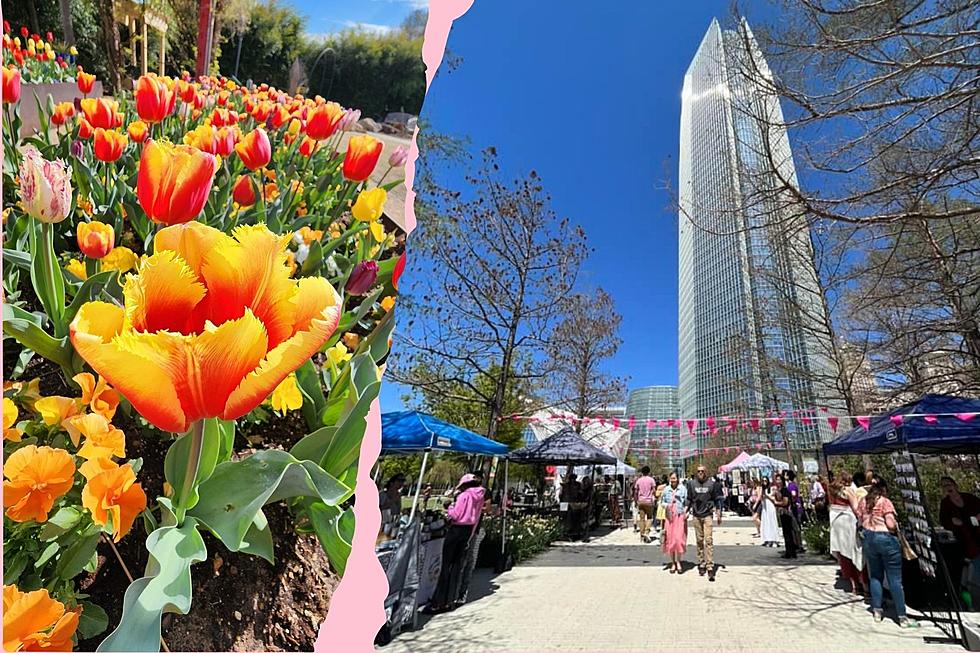 See The Most Beautiful and Colorful Tulips at Tulipfest in Oklahoma City