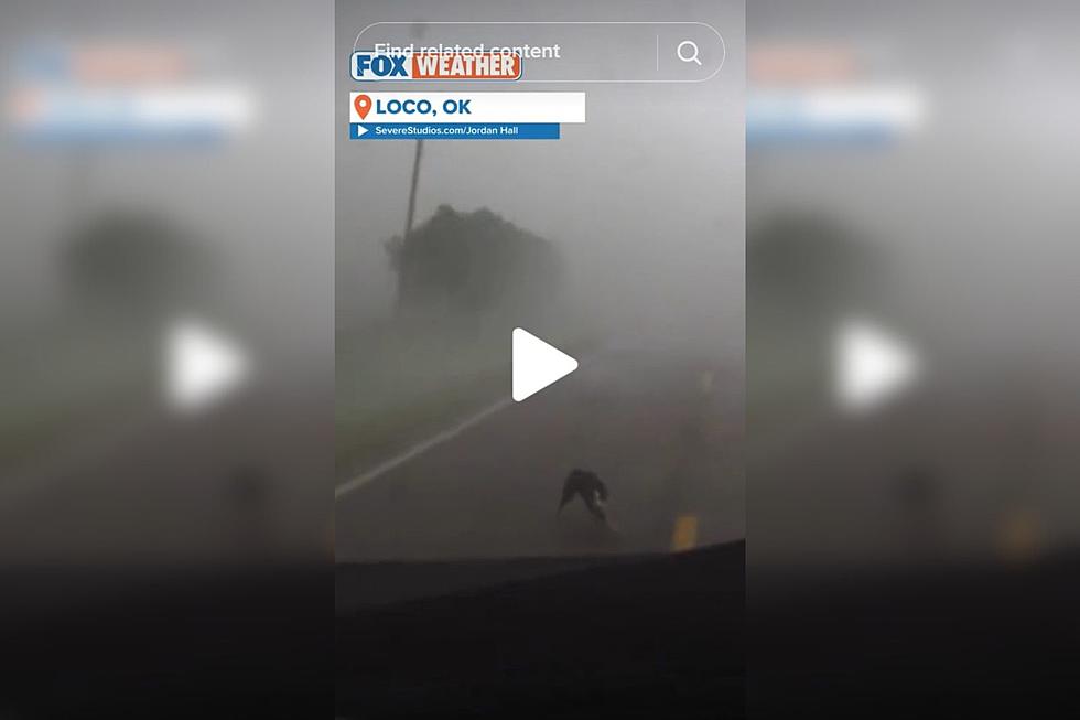 Storm Chasers Save Dog From Tornado in Loco, Oklahoma