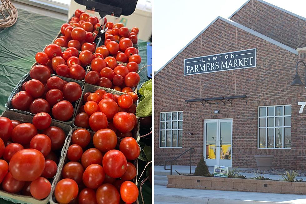 It’s Time For the Lawton Famers Market’s Annual Tomato Festival